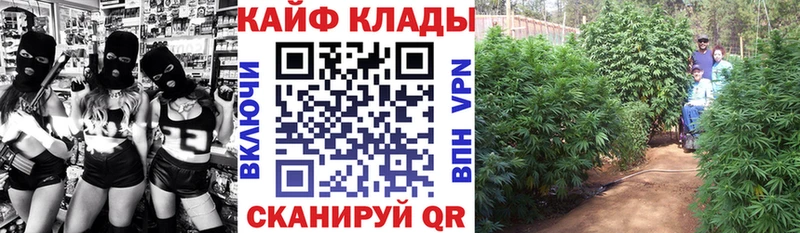Наркошоп купить A PVP  Меф  ГАШ  Псилоцибиновые грибы  Cocaine  Марихуана  Реж