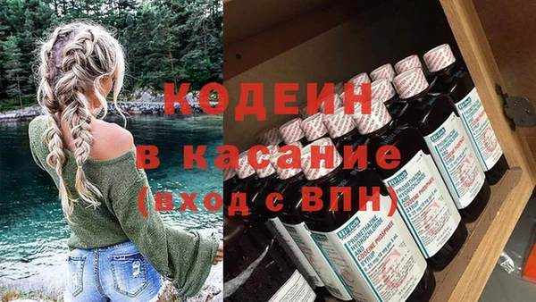 ECSTASY Богданович