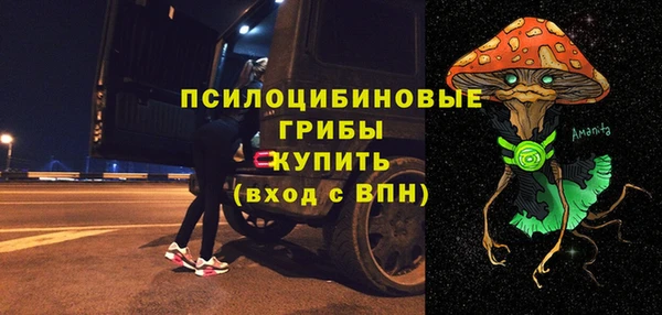 ECSTASY Богданович