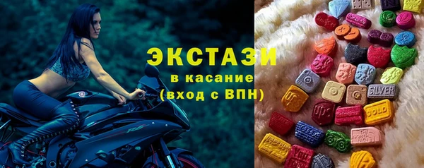 ECSTASY Богданович