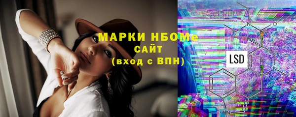 ECSTASY Богданович