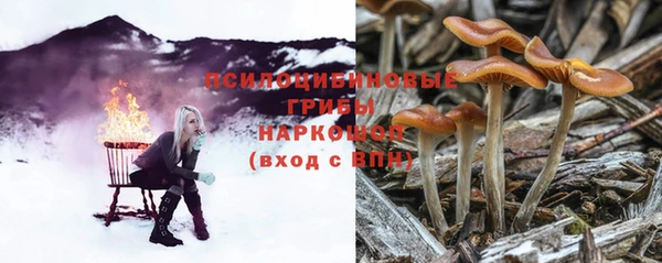 ECSTASY Богданович