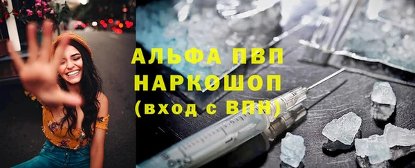 ECSTASY Богданович