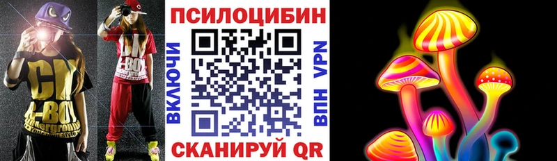 Купить  Реж  Галлюциногенные грибы MAGIC MUSHROOMS 